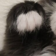 GettedByMom1