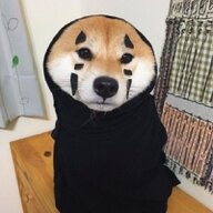 Jessus