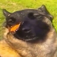 GameChaktor