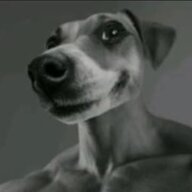 alllezt