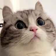 jkjihjujudhfhjke