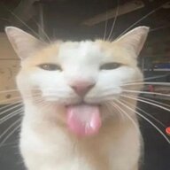 devoirr