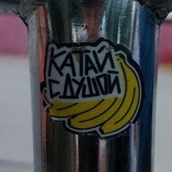 kosta_2012