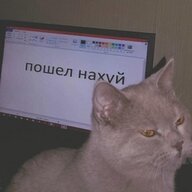 Vaxye