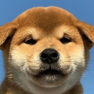 luckyun