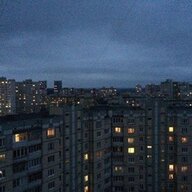 dasha1231