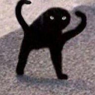 hethot557