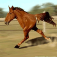 rrrrrllllllll