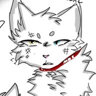 zach0tka