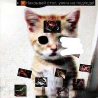 pedofile