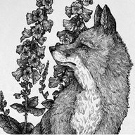 LetalFox