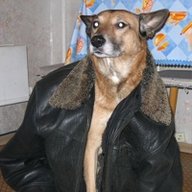 fvQEDQWE