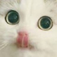 Loljik