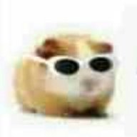 Imdead1338