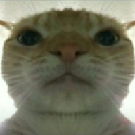 koyme