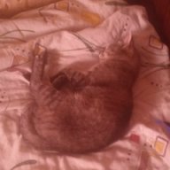 Huricen nomer 1