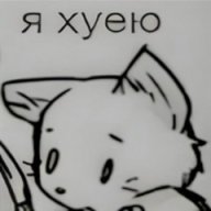 pal1t1k