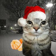 Analitik_Titek