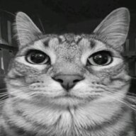 sodrely