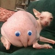 Snifiz