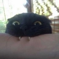 dfasdfasdfas