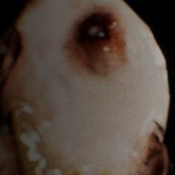 VJITRGNBJ23