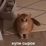 suchka228