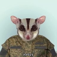 Servelat
