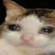 AnkisPlay