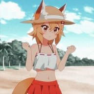 Rypit12