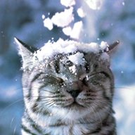aivixu25