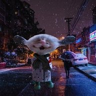 PcGorit