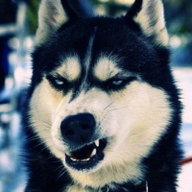 Kasulik