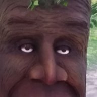 LELFSAFD