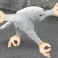 sarkazm