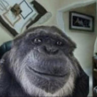 zemptybtw