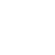 homka2000