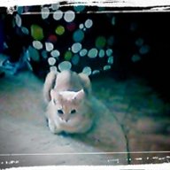 radick_1