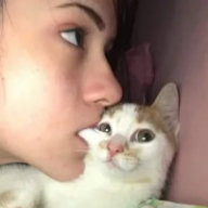 Enot_defolt