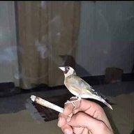 xhchdz100