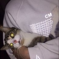 el_xeno