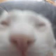 Jesuu