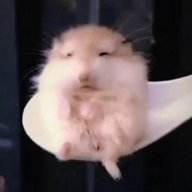 HE_PLOXOU