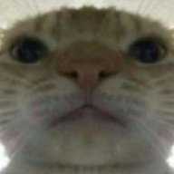 LinckedNinja
