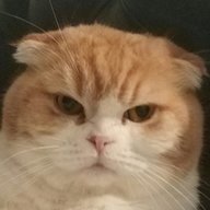 MRJAVA12