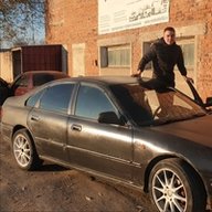 aleksaspid2