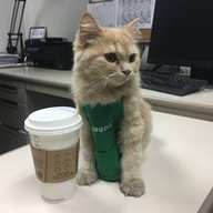 iliacatrare