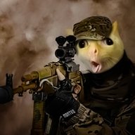 monteQ2k20