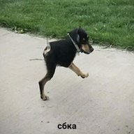 Anton091000