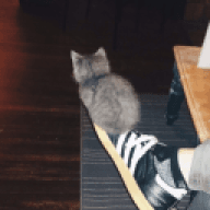 fleiZz